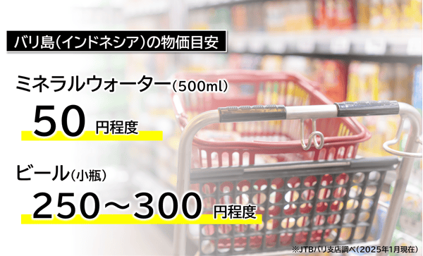 バリ島（インドネシア）の物価の目安
ミネラルウォーター（500ml）：50円程度
ビール（小瓶）：250円～300円程度