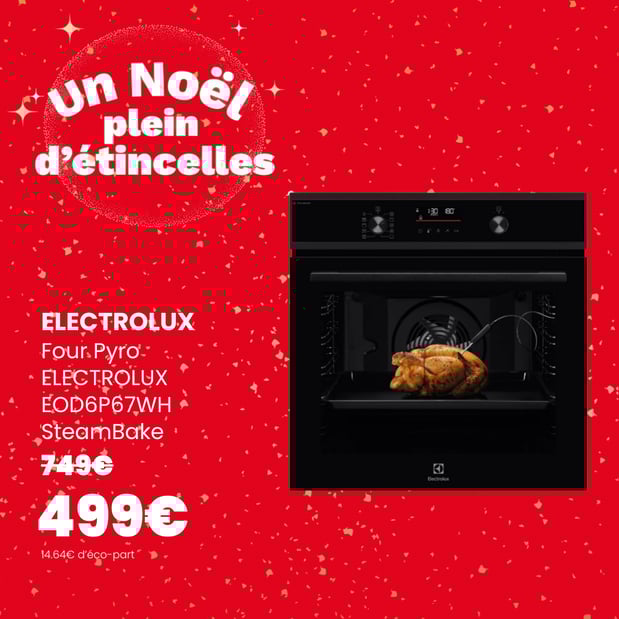 Four Pyro ELECTROLUX EOD6P67WH SteamBake