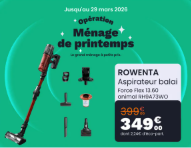 Aspirateur balai ROWENTA X Force Flex 13.60 animal RH9A73WO