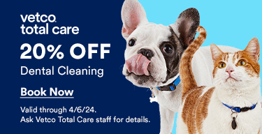 20% Off Dental Cleaning - Valid Through April 6th, 2024
