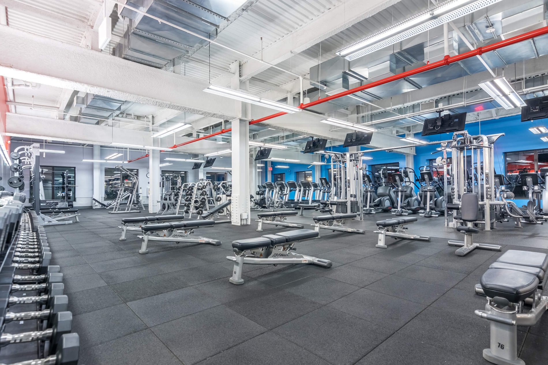 All Blink Fitness Gyms in NY cardio equipment, strength equipment, gym equipment, gym near me