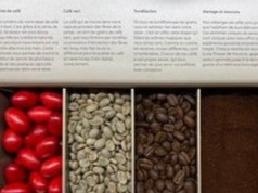 café nespresso vertuo captules machine capsule merignac mérignac grain expresso long boisson chaude petit next starbucks bordeaux krups magimix
