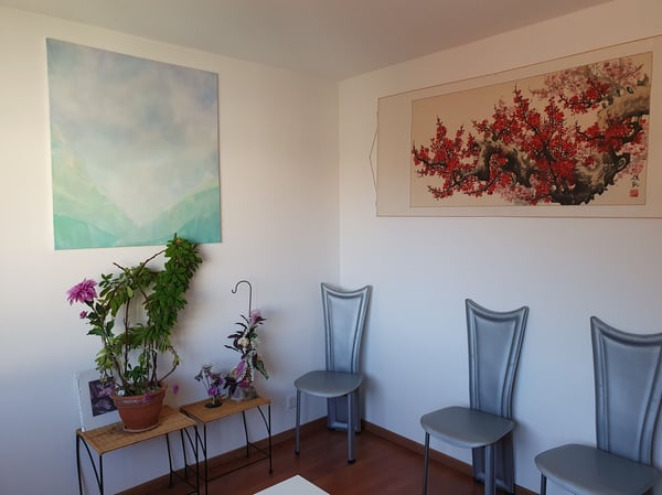 cours de ventouses et cours de Guasha