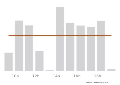 Voir le trafic sur Google maps https://maps.google.com/maps?cid=4992121860922148733