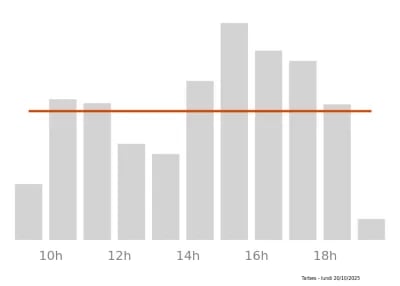 Voir le trafic sur Google maps https://maps.google.com/maps?cid=13572818869720265240