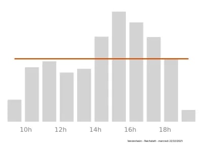 Voir le trafic sur Google maps https://maps.google.com/maps?cid=13554022179053809225