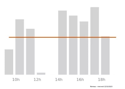 Voir le trafic sur Google maps https://maps.google.com/maps?cid=14228746988357707123