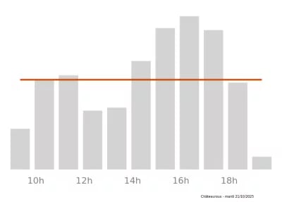 Voir le trafic sur Google maps https://maps.google.com/maps?cid=12156975599620030949