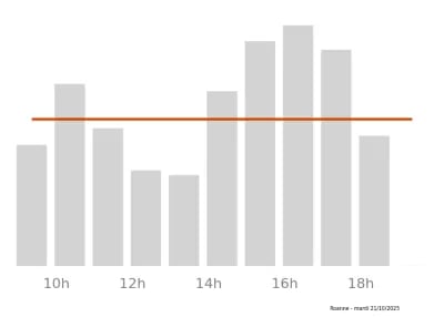 Voir le trafic sur Google maps https://maps.google.com/maps?cid=10500017242287209119