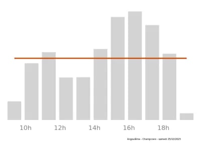 Voir le trafic sur Google maps https://maps.google.com/maps?cid=15063069305841041828