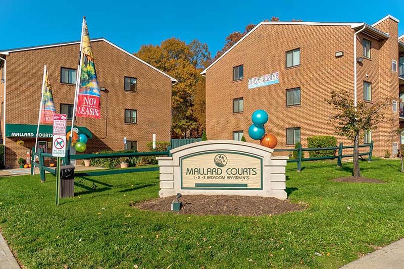 Get Cox for Your WifiCertified Mallard Courts Home