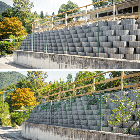 Giardiniere diplomato Lugano costruzione giardini e muri di sostegno e verduri