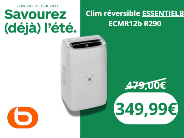 🌞 Savourez (déjà) l'été avec la clim réversible ESSENTIELB ECMR12b R290 !