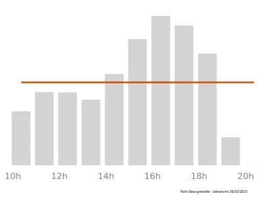 Voir le trafic sur Google maps https://maps.google.com/maps?cid=1371041023799743613