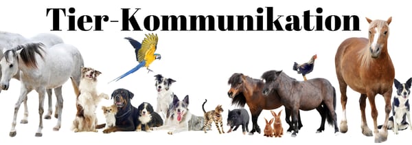 Tierkommunikations Ausbildung 2024! Online mit Zoom! Jetzt informieren und anmelden! www.spiritmeeting.ch