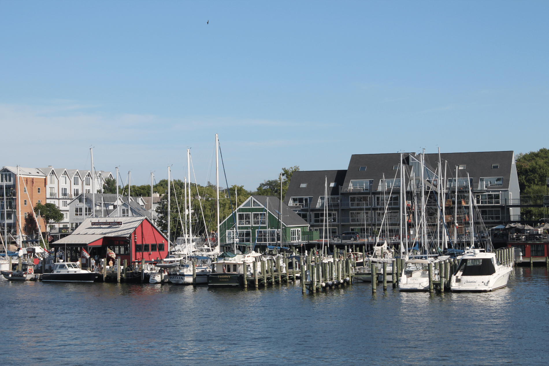 Hero Background Image