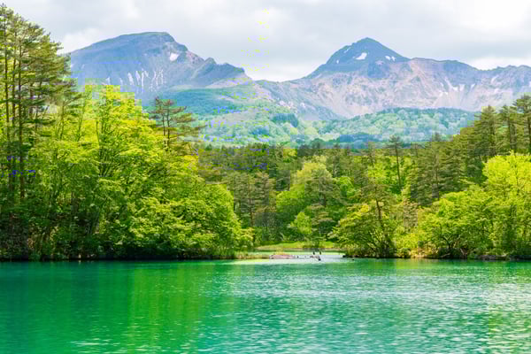 新緑の五色沼湖沼群　毘沙門沼と磐梯山