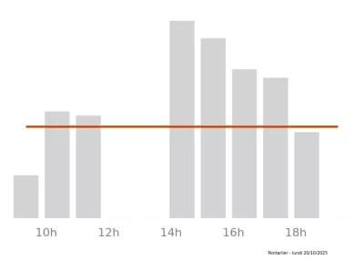 Voir le trafic sur Google maps https://maps.google.com/maps?cid=10622714668135960886