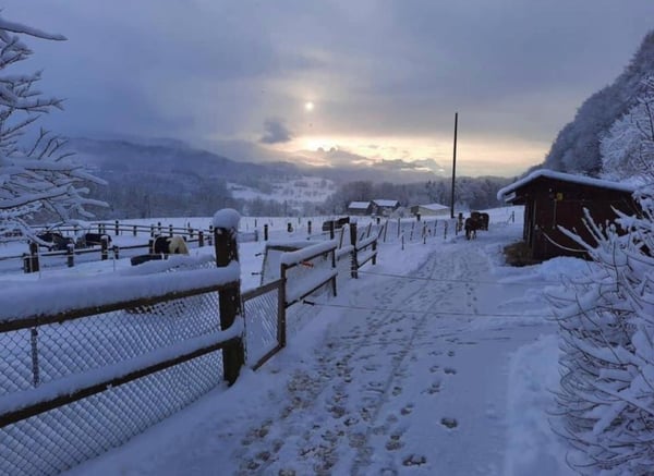 Douceur d'Ebène - Granges (Veveyse) - Domaine