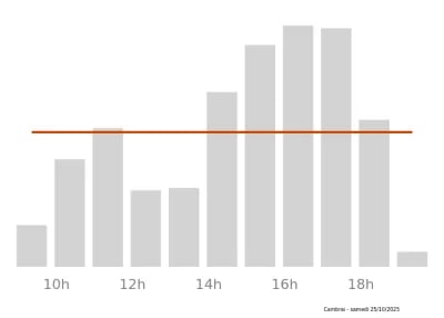 Voir le trafic sur Google maps https://maps.google.com/maps?cid=9392866299927381403