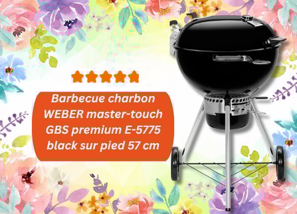 Barbecue charbon WEBER master-touch GBS premium E-5775 black sur pied 57 cm