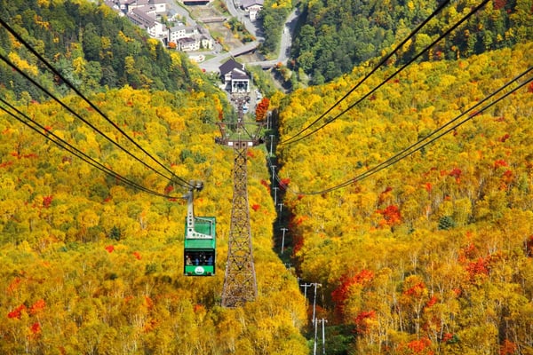 紅葉のなかを進む黒岳ロープウェイ