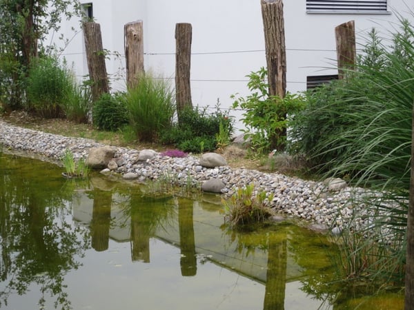 Biotop  von garbatec ag in Beringen