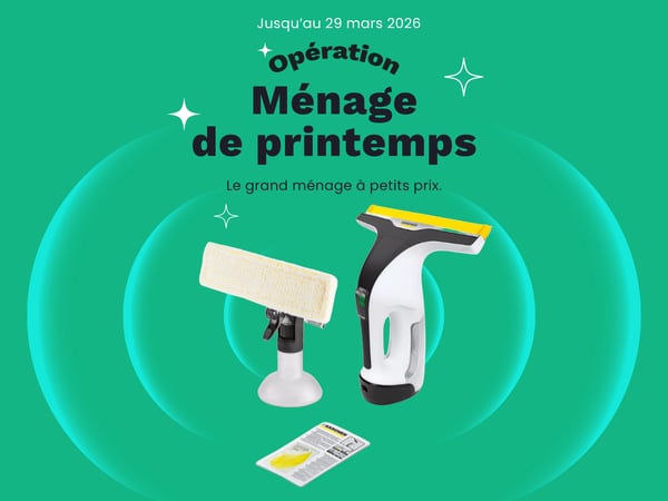 Nettoyeur vitres KARCHER WV 6 Plus white