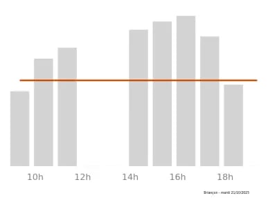 Voir le trafic sur Google maps https://maps.google.com/maps?cid=13690335147999747680