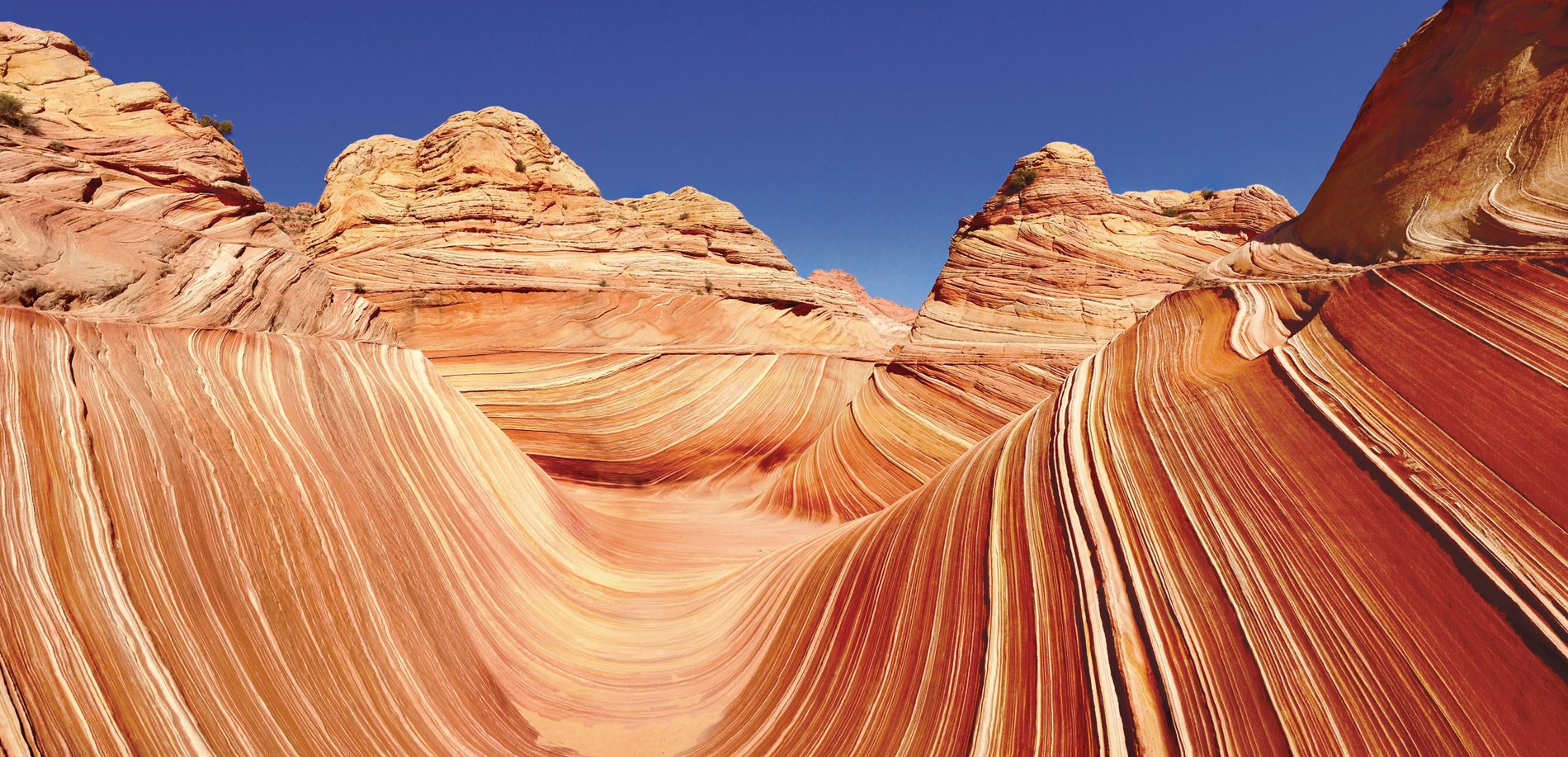 Hero Background Image