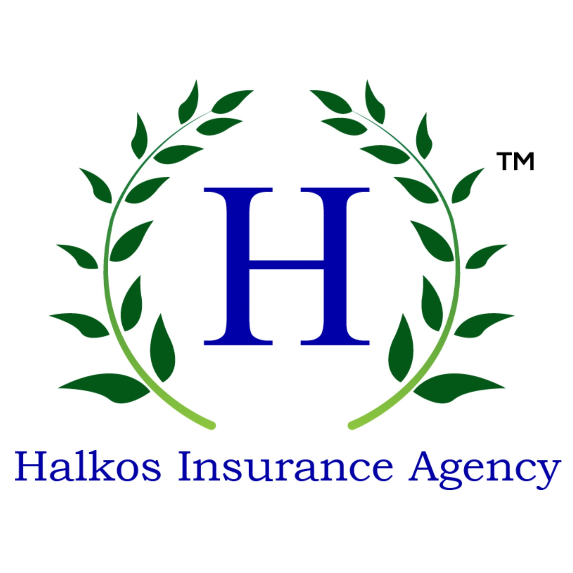 Timothy E Halkos, Insurance Agent