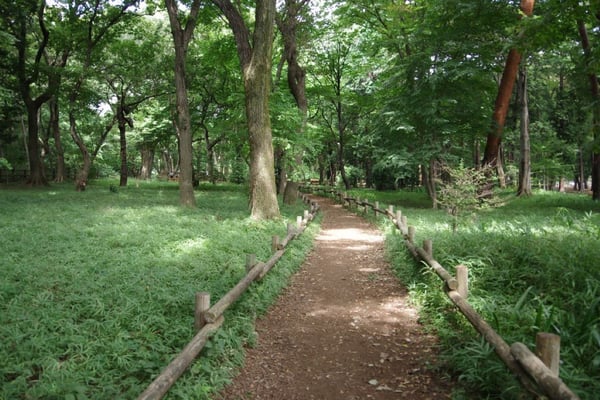 ＜33_⑪御殿山雑木林園路01キャプション＞