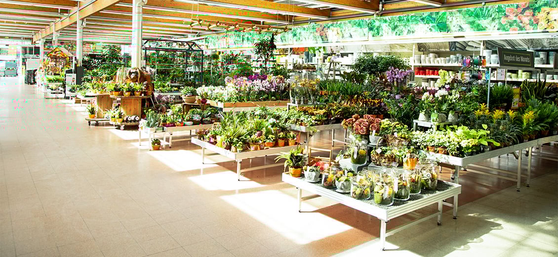 Dein OBI Markt Halle, Grenzstr. 43