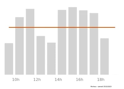Voir le trafic sur Google maps https://maps.google.com/maps?cid=14228746988357707123
