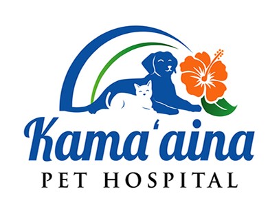 Kama’aina Pet Hospital | Vetco Total Care
