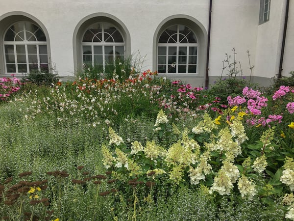 Gartengestaltung_Bepflanzung_Gartenbau_Blumengeschäft_Zimmermann Flaach