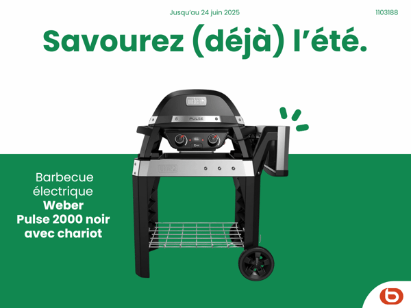 Barbecue électrique WEBER Pulse 2000 noir avec chariot