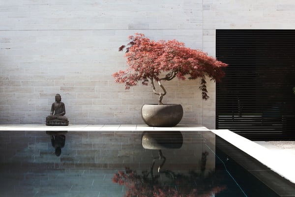 Schwimmbecken mit schwarzem Naturstein