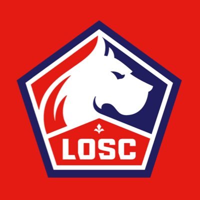 Partenaire local du LOSC