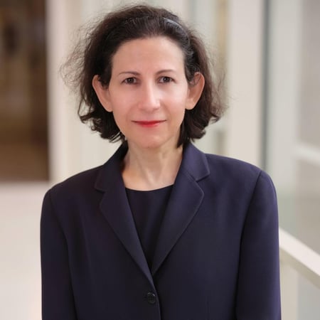 Photo of Roya Ghavami