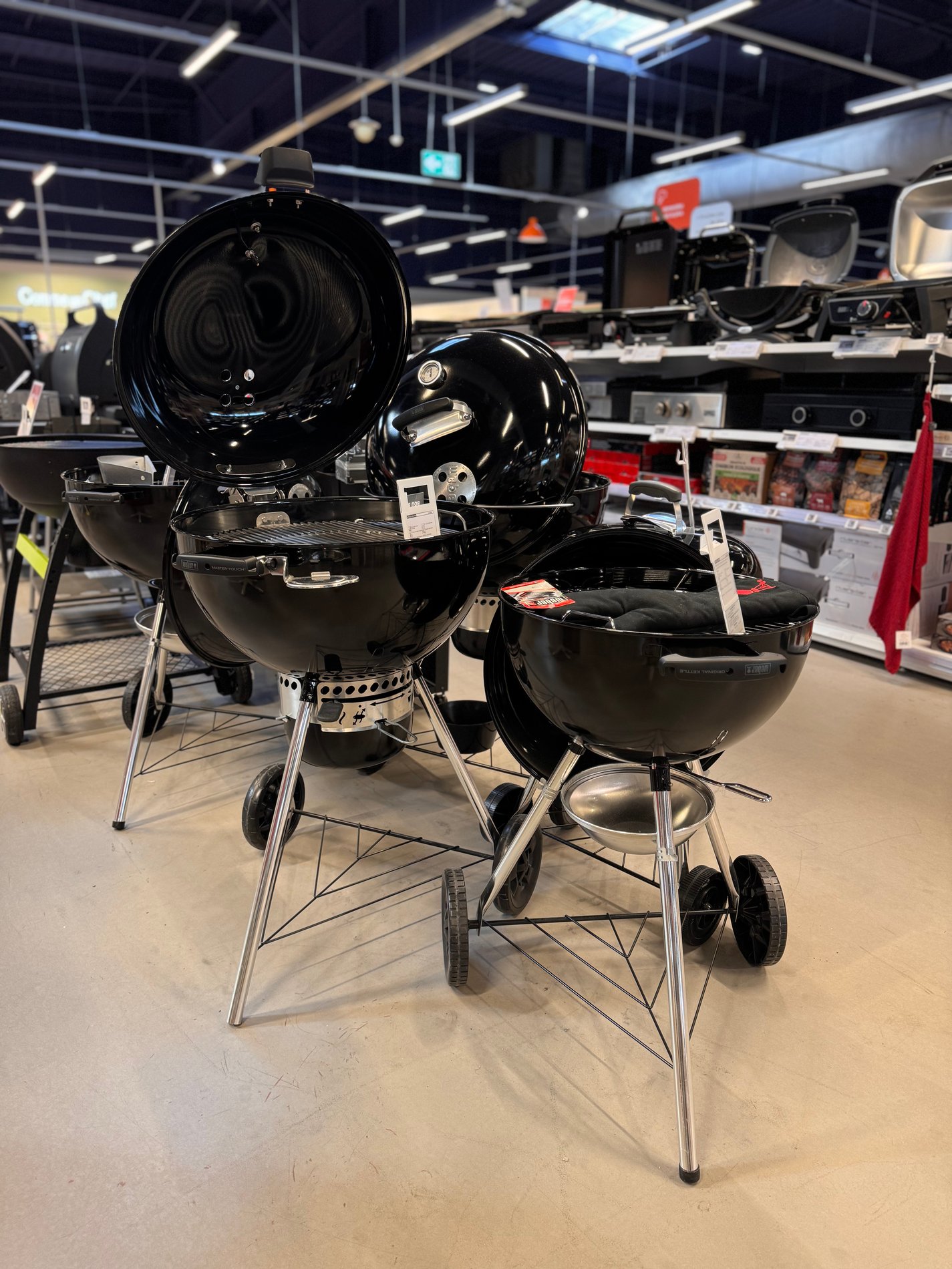 Weber poele cuisson barbecue électrique gaz charbon