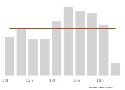 Voir le trafic sur Google maps https://maps.google.com/maps?cid=13752218000397350116