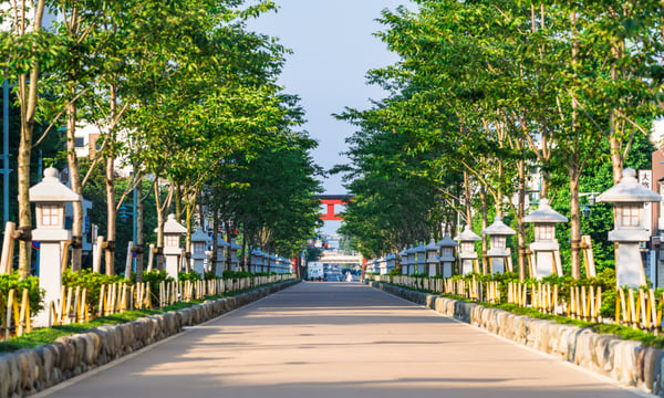 若宮大路