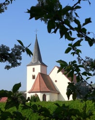 Aufnahme der Bonifatiuskirche Dienheim bei blauem Himmel. Die Kirche ist umgeben von Grün.
