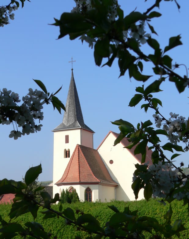 Aufnahme der Bonifatiuskirche Dienheim bei blauem Himmel. Die Kirche ist umgeben von Grün.