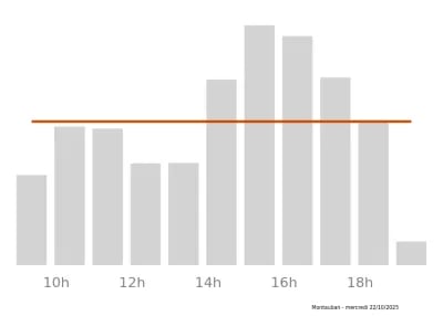Voir le trafic sur Google maps https://maps.google.com/maps?cid=10445362675001712894