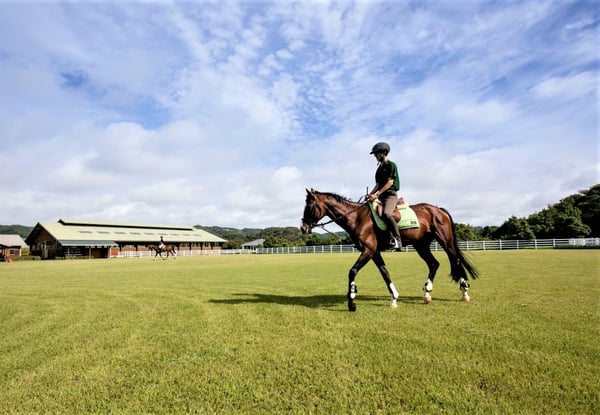 都心から車で約90分！温暖な房総半島♪ 千葉 勝浦のリゾートホテルで乗馬体験してきました！【千葉県　ホテルブルーベリービル勝浦】 | JTBスタッフのおすすめ旅記事&ブログ