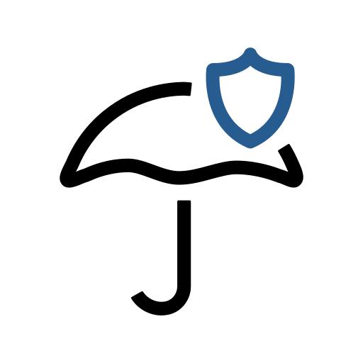Icon Image