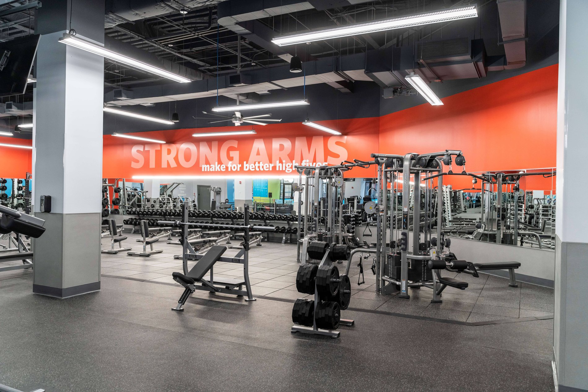 Blink Ridgewood at 5527 Myrtle Avenue, Ridgewood, NY Blink Fitness