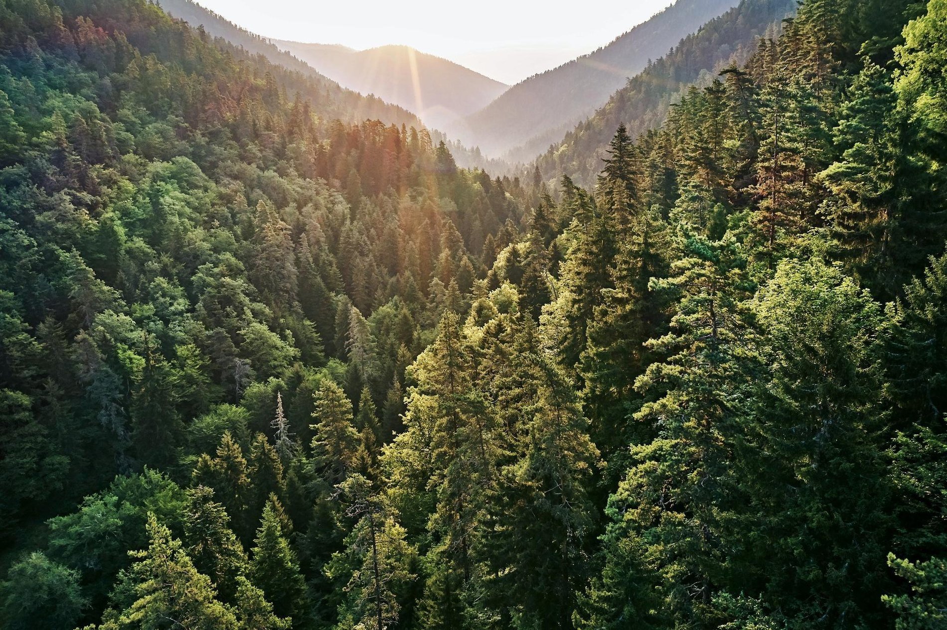 Hero Background Image